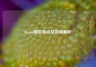 Steam俄区特点及游戏解析