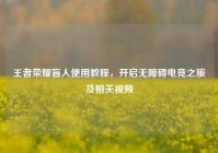 王者荣耀盲人使用教程，开启无障碍电竞之旅及相关视频