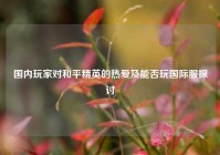 国内玩家对和平精英的热爱及能否玩国际服探讨