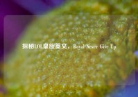探秘LOL皇族英文，Royal Never Give Up