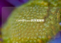 CSGO中dxlevel的深度解析