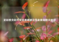 足彩胜负彩开奖结果揭秘及奖金查询相关探讨