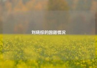 刘晓棕的国籍情况