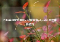 PUBG鸡腿使用教程，轻松掌握pubgmobile游戏辅助技巧