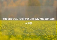 罗技键盘K260，实用之选及重新配对畅享舒适输入体验