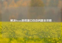 解决Steam游戏窗口白边问题全攻略