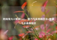 时尚宠儿CF黑银Lindy，魅力与实用融合及cf黑银牛皮最新报价