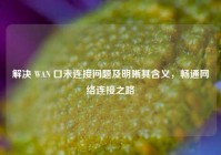 解决 WAN 口未连接问题及明晰其含义，畅通网络连接之路