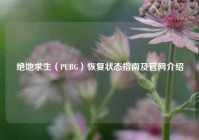 绝地求生（PUBG）恢复状态指南及官网介绍
