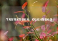 手游管理器卸载指南，轻松应对卸载难题
