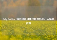 Pubg 8人队，探寻团队协作热血战场的八人模式位置