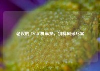 老汉的 CSGO 机车梦，别样风采尽显