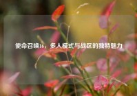 使命召唤16，多人模式与战区的独特魅力