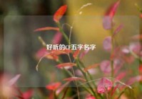 好听的CF五字名字