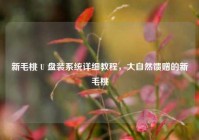 新毛桃 U 盘装系统详细教程，大自然馈赠的新毛桃