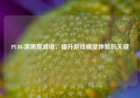 PUBG清晰度滤镜，提升游戏视觉体验的关键