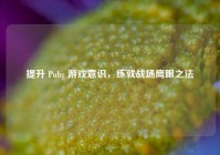 提升 Pubg 游戏意识，练就战场鹰眼之法