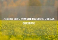 CSGO团队语言，默契协作的沟通密码及团队语音按键探讨