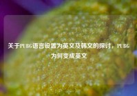 关于PUBG语言设置为英文及韩文的探讨，PUBG为何变成英文