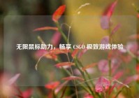 无限鼠标助力，畅享 CSGO 极致游戏体验