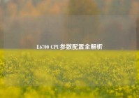 E6700 CPU参数配置全解析
