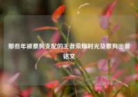 那些年被蔡狗支配的王者荣耀时光及蔡狗出装铭文