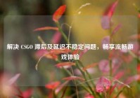 解决 CSGO 滞后及延迟不稳定问题，畅享流畅游戏体验