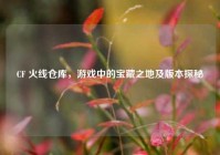 CF 火线仓库，游戏中的宝藏之地及版本探秘