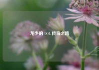 龙少的 LOL 传奇之路