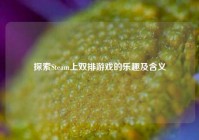 探索Steam上双排游戏的乐趣及含义
