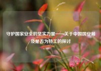 守护国家安全的坚实力量——关于中国国安局及是否为特工的探讨