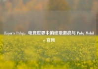 Esports Pubg，电竞世界中的绝地激战与 Pubg Mobile 官网