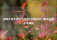 探秘大显手机官方网站与百度百科，解锁手机世界精彩