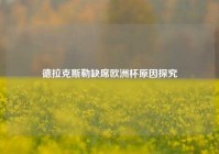 德拉克斯勒缺席欧洲杯原因探究