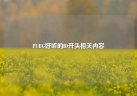 PUBG好听的ID开头相关内容