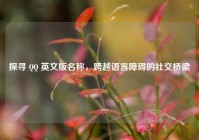 探寻 QQ 英文版名称，跨越语言障碍的社交桥梁