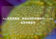 Pubg紧急救援器，绝地战场的关键助力——pubg紧急救援套件