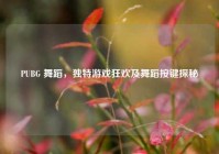 PUBG 舞蹈，独特游戏狂欢及舞蹈按键探秘