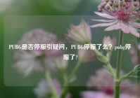 PUBG是否停服引疑问，PUBG停服了么？pubg停服了?