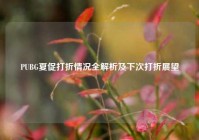 PUBG夏促打折情况全解析及下次打折展望