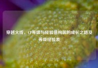 穿越火线，CF等级与经验值构筑的成长之路及等级经验表