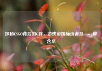 探秘CSGO背后的G胖，游戏帝国缔造者及csgo g胖含义