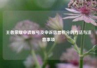 王者荣耀申请账号及申诉信誉积分的方法与注意事项