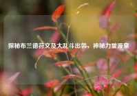 探秘布兰德符文及大乱斗出装，神秘力量源泉