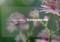 Galave CSGO，带来独特游戏体验