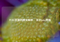 PUBG页面问题全解析，关于pubg界面