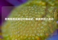 詹姆斯感染新冠日期成谜，体育界因之震动