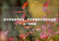 涨乐财富通电脑版，开启便捷高效投资新体验及下载指南