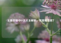 王者荣耀中VS含义全解析，究竟啥意思？