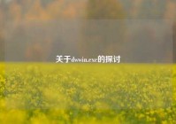 关于dwwin.exe的探讨